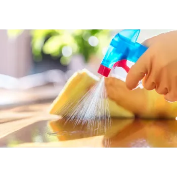  Disinfectant Sprayers